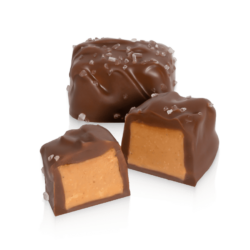 Sea Salted Peanut Butter Melt-a-Way Milk Chocolate (14 Pcs/5.5 oz, pick-n-pack tray)